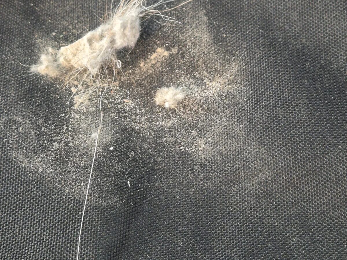 소파 팔걸이 내부 쿠션을 들어올려 프레임 틈 오염 상태를 확인하는 장면